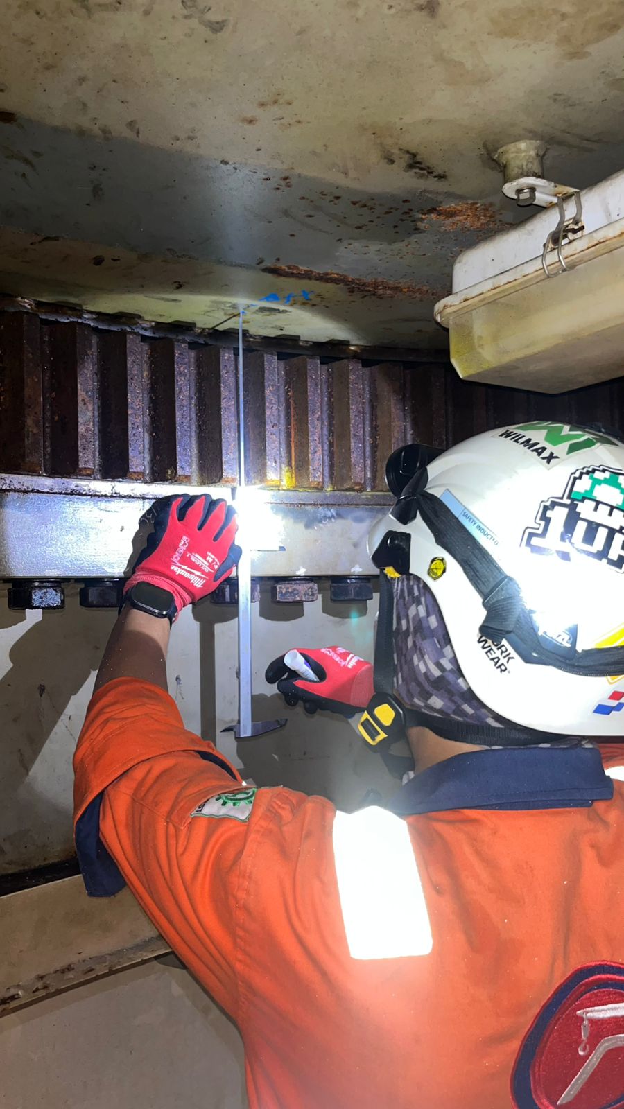 Bulk Cargo Transport